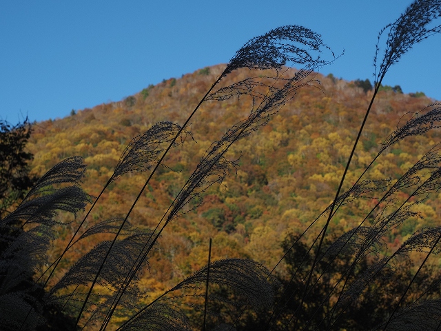 大清水の近くの山