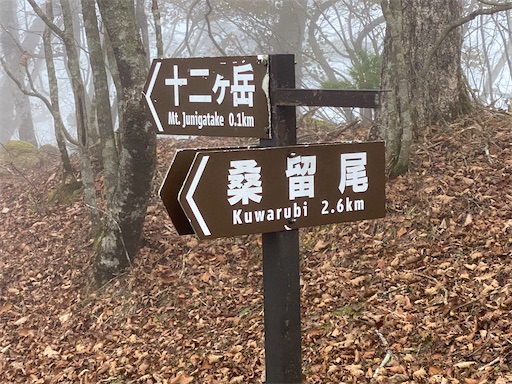 f:id:hiroko_ny:20241126202954j:image