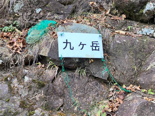 f:id:hiroko_ny:20241126203001j:image