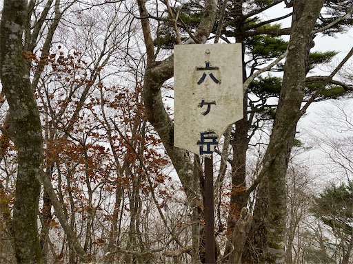 f:id:hiroko_ny:20241126203007j:image