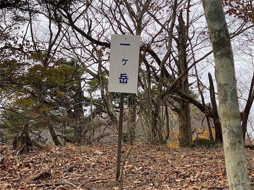 f:id:hiroko_ny:20241126203010j:image