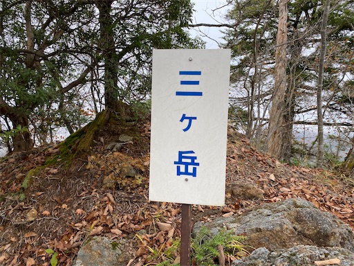 f:id:hiroko_ny:20241126203027j:image