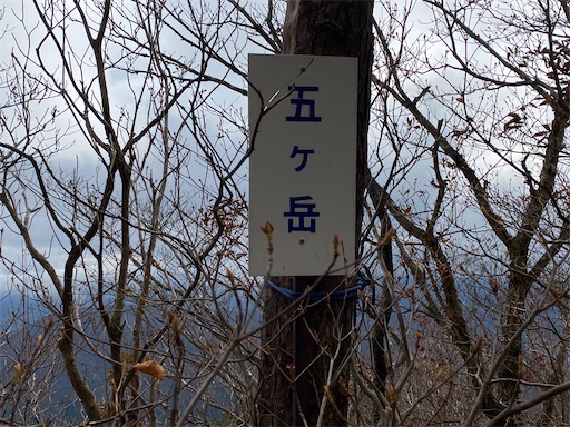 f:id:hiroko_ny:20241126223927j:image