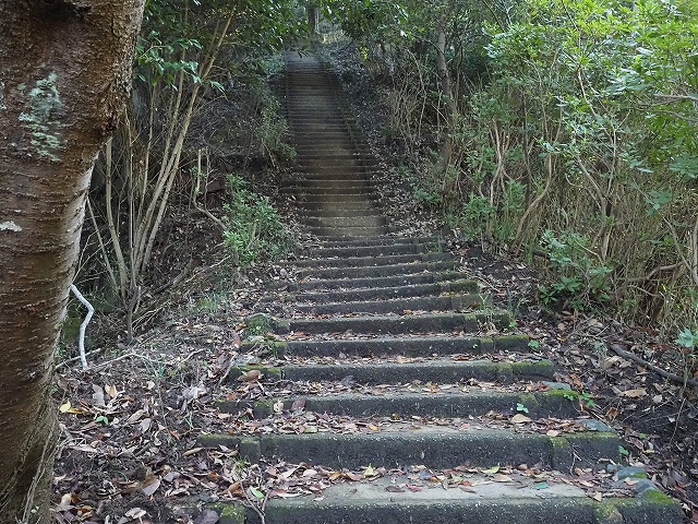 今回の関東ふれあいの道の登山口