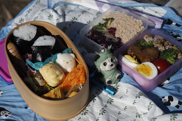 前回はこの展望台でお弁当を食べました。