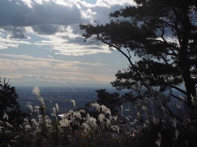 遠くに富士山が見えています。