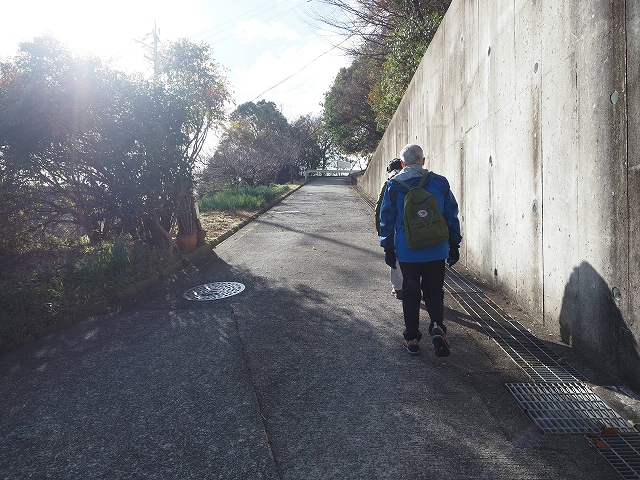山頂までこんな道を歩いて行きます。
