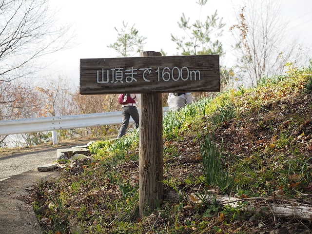 ずっと200mごとにこの標識が出てきます。
