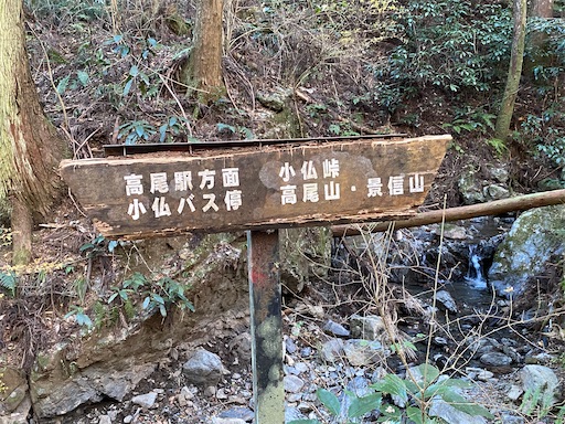 f:id:hiroko_ny:20250116200535j:image f:id:hiroko_ny:20250116200535j:image