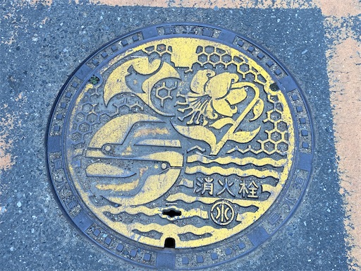 f:id:hiroko_ny:20250131232047j:image