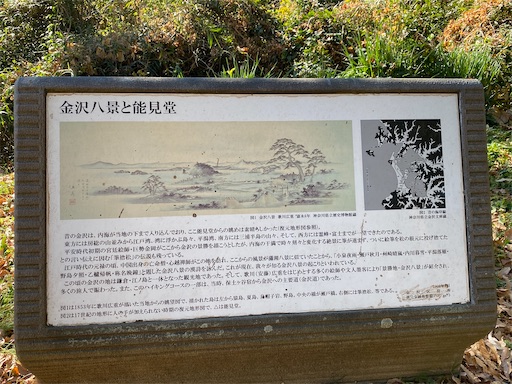 f:id:hiroko_ny:20250131232053j:image