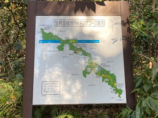 f:id:hiroko_ny:20250131232123j:image