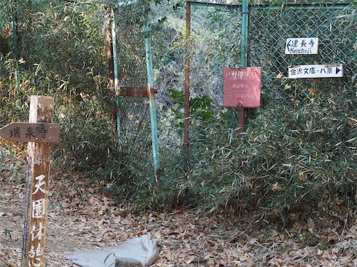 f:id:hiroko_ny:20250131232133j:image