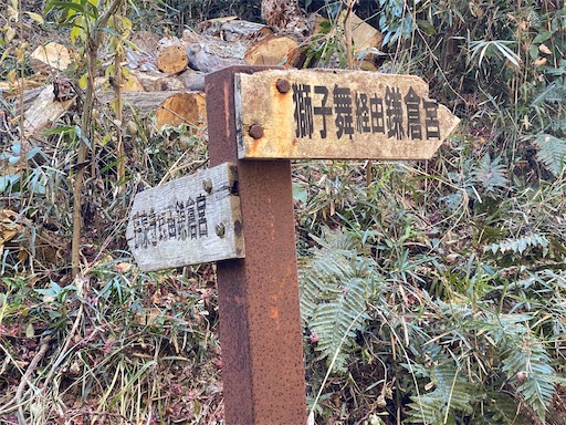 f:id:hiroko_ny:20250131232142j:image