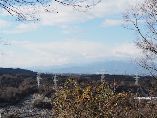 f:id:hiroko_ny:20250131232146j:image