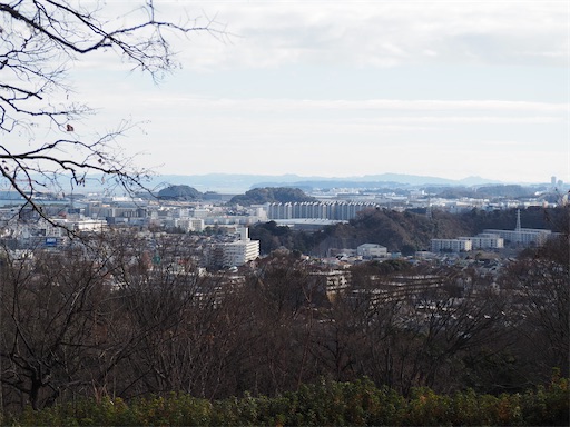 f:id:hiroko_ny:20250131232158j:image