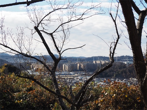 f:id:hiroko_ny:20250131232207j:image