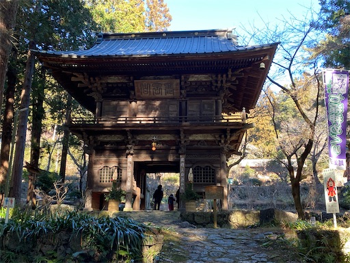 f:id:hiroko_ny:20250211195223j:image