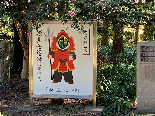 f:id:hiroko_ny:20250211195230j:image