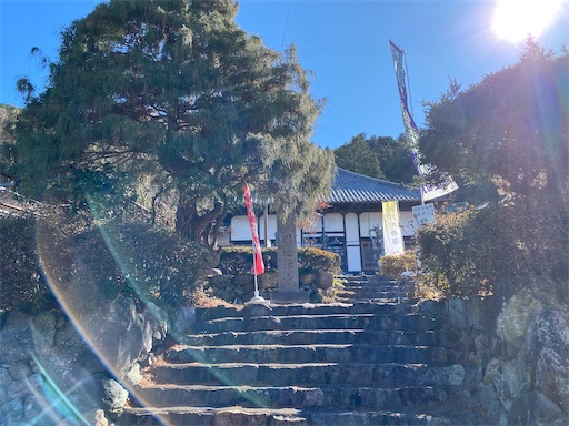 f:id:hiroko_ny:20250211195413j:image