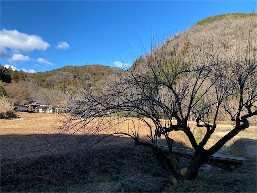 f:id:hiroko_ny:20250211195434j:image