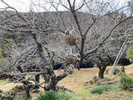 f:id:hiroko_ny:20250211195444j:image