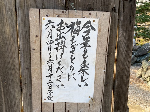 お言葉に甘えて梅を頂きに行きましょうか⁈