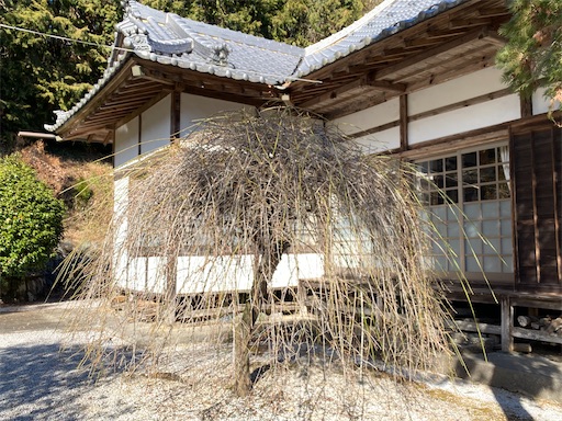 f:id:hiroko_ny:20250211195808j:image