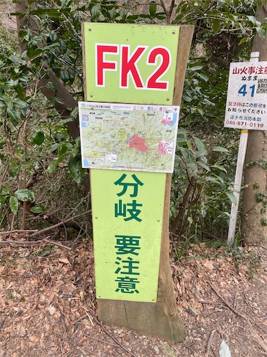 f:id:hiroko_ny:20250216221839j:image