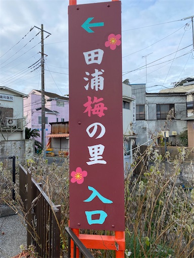 f:id:hiroko_ny:20250216221842j:image