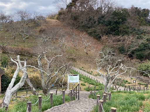 f:id:hiroko_ny:20250216221905j:image