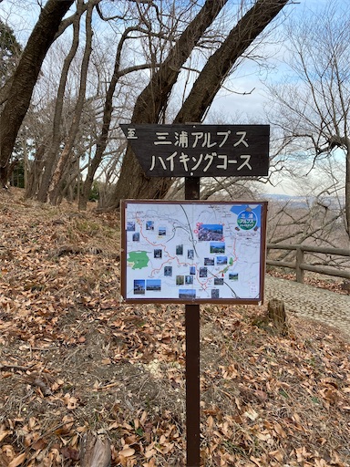 f:id:hiroko_ny:20250216221909j:image