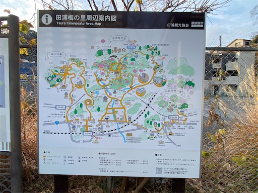 f:id:hiroko_ny:20250216221912j:image