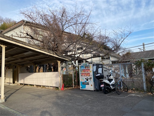 f:id:hiroko_ny:20250216221916j:image