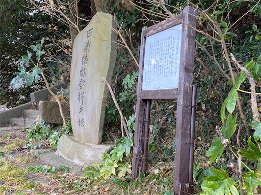 f:id:hiroko_ny:20250216221923j:image
