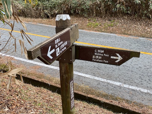 車道から笹の多い道に戻る所。何度かこんな場所があります。
