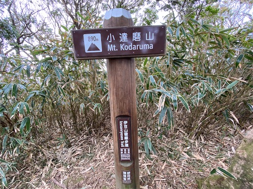小達磨山。景色は見えません。