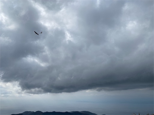 ラジコンの飛行機もよく飛ばしているようです。