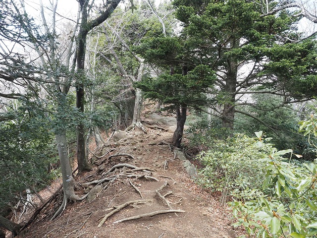 尾根道