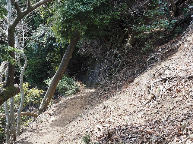 下りの始まり　道が狭くなり、ロープが見えています。