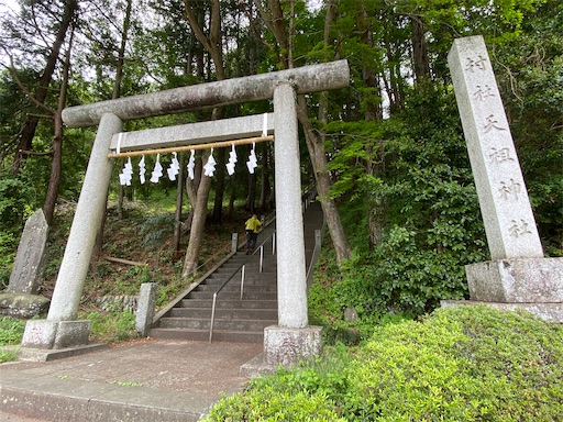 f:id:hiroko_ny:20250521201321j:image