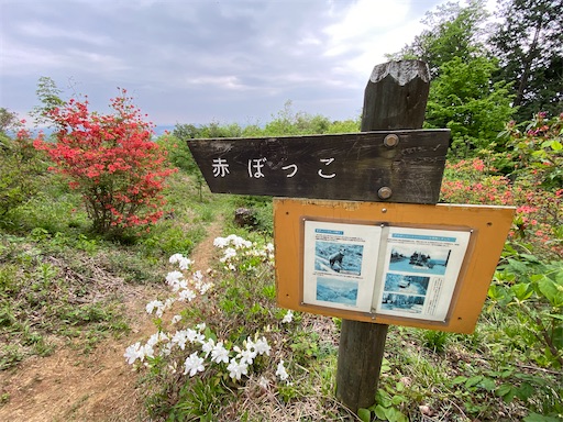 f:id:hiroko_ny:20250521201352j:image
