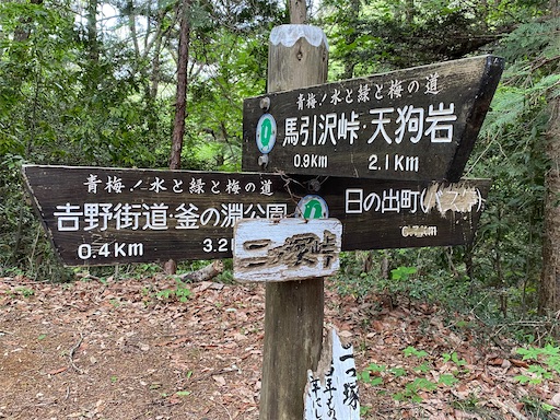 f:id:hiroko_ny:20250521201401j:image