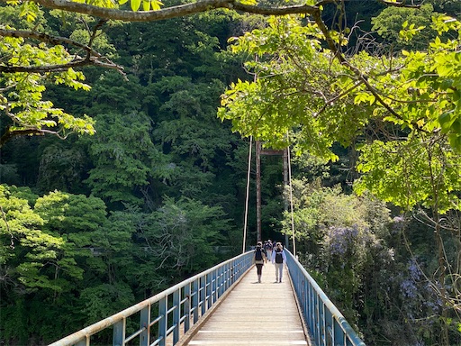 f:id:hiroko_ny:20250612200740j:image