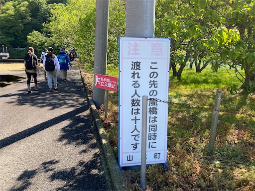 f:id:hiroko_ny:20250612200802j:image