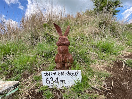f:id:hiroko_ny:20250612200818j:image
