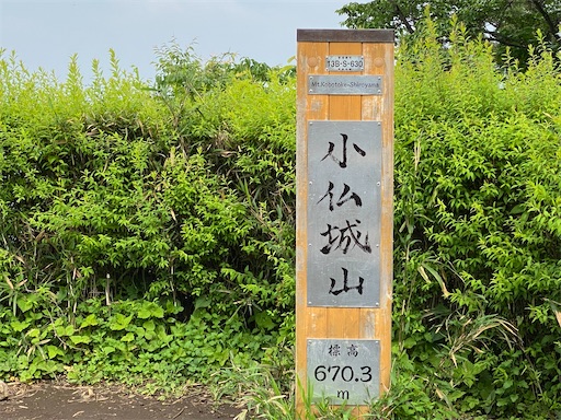 f:id:hiroko_ny:20250617205531j:image