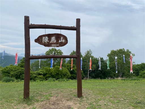 f:id:hiroko_ny:20250617205539j:image