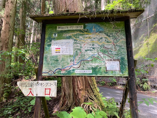 f:id:hiroko_ny:20250617205541j:image