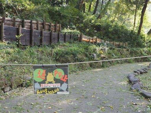 倒木のため通行止め